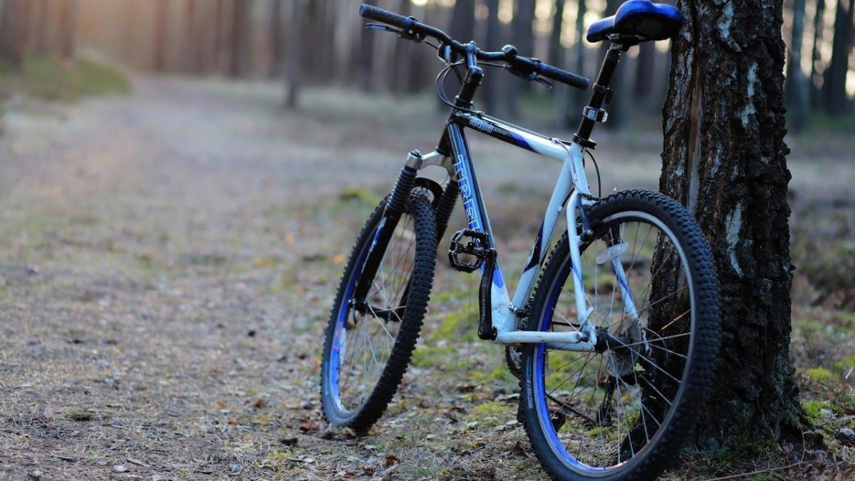 Велосипед фото