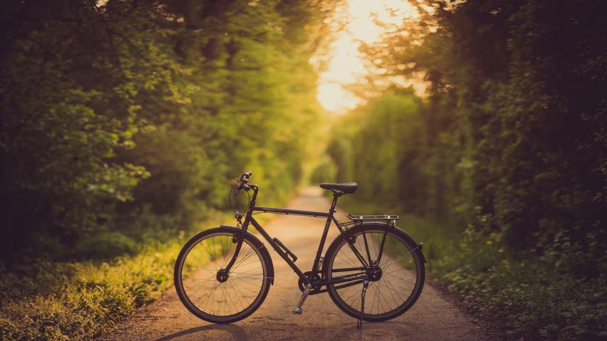 Лето велосипед