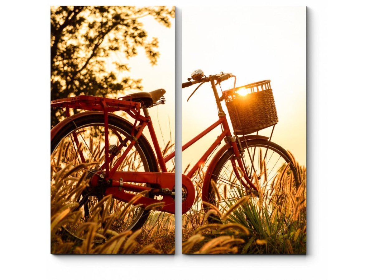 Лето велосипед