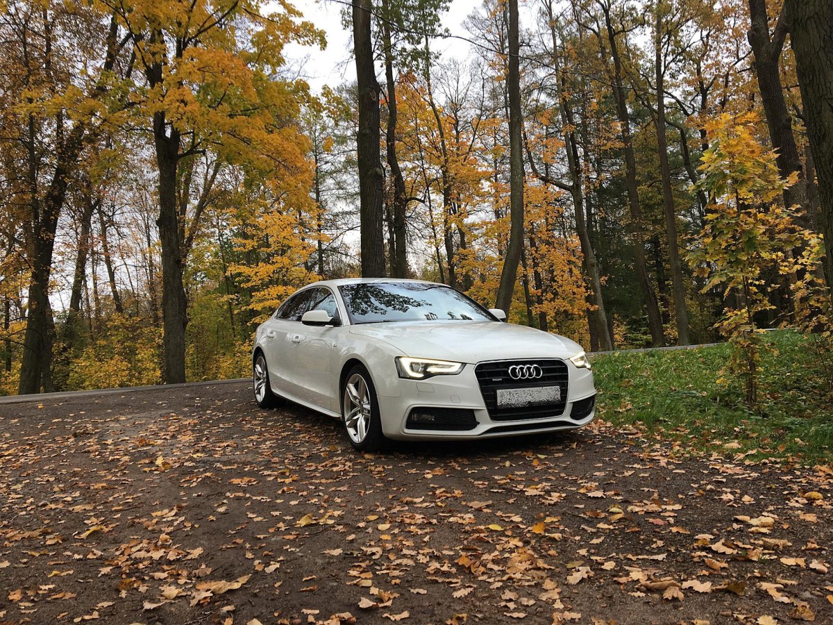 Осень Audi а8