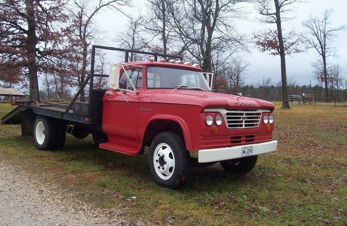 Dodge d500