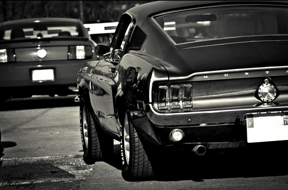 Форд Мустанг 1969 чб