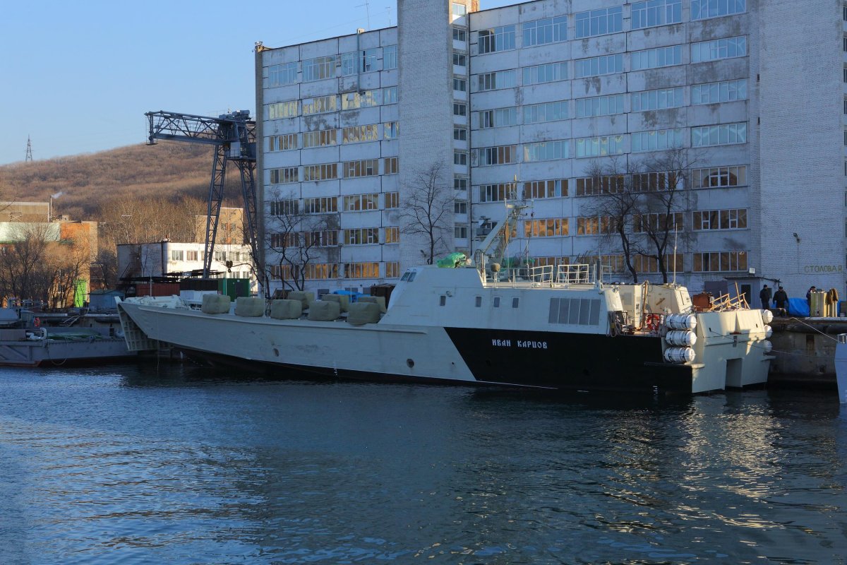 Десантные катера проекта 21820 «Дюго́нь»