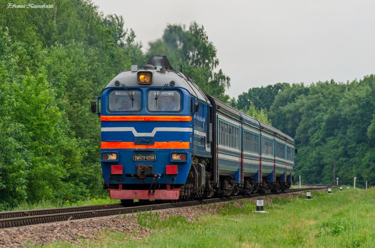 Ддб1 дизель-поезд