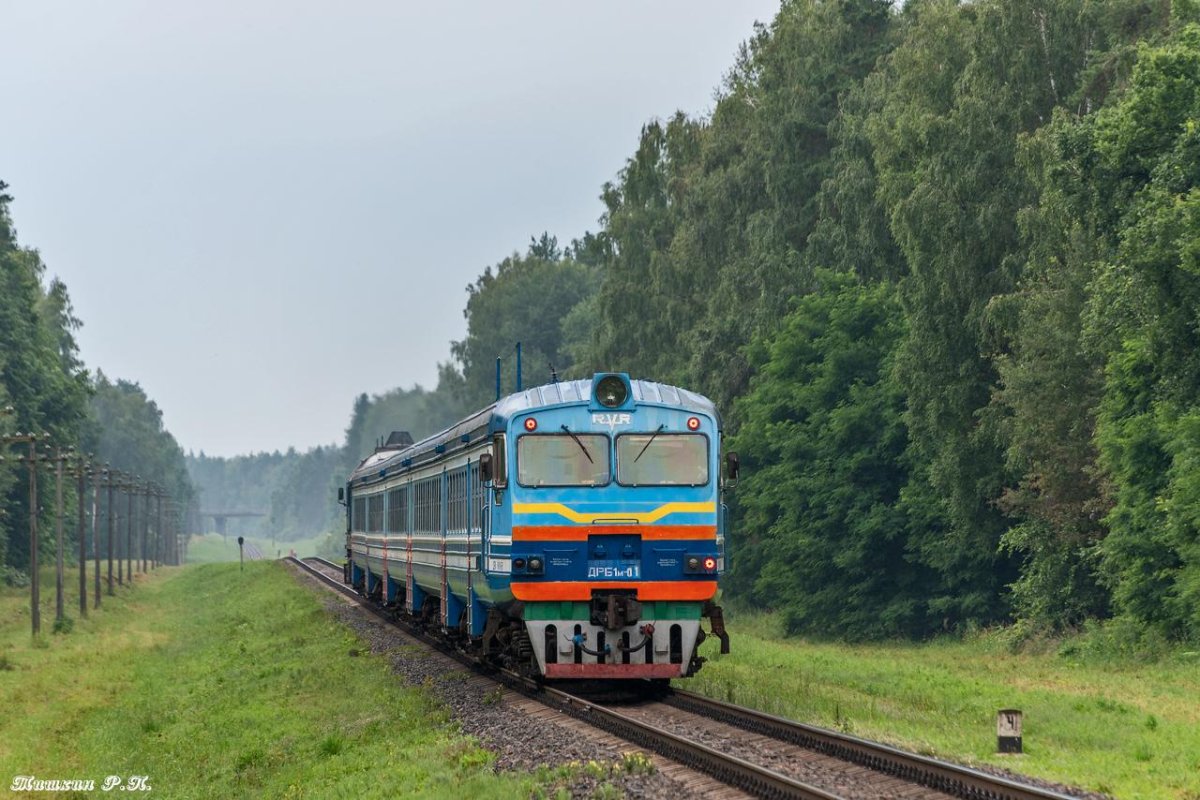 Дизельный поезд