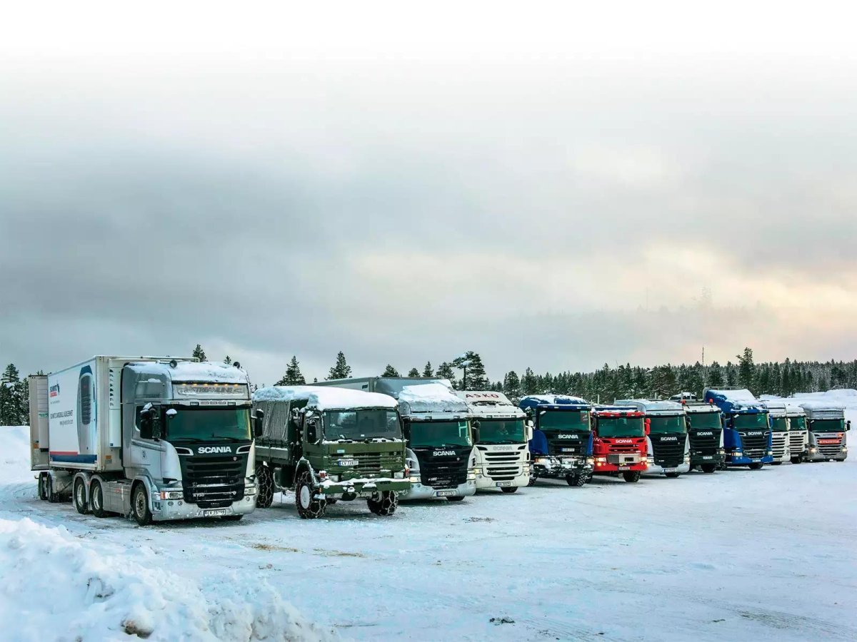 Скания зимник