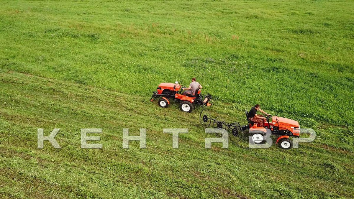 Кентавр т-24 фото