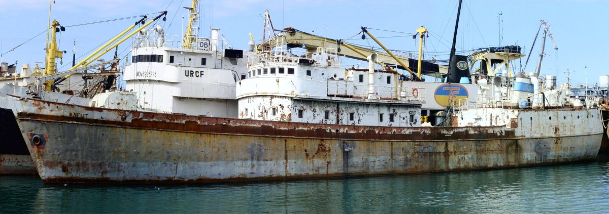 РДОС Моряна