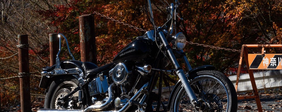 Обои чоппер далко