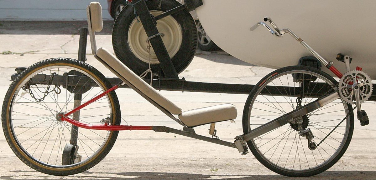 Лигерад питон-лоурайдер