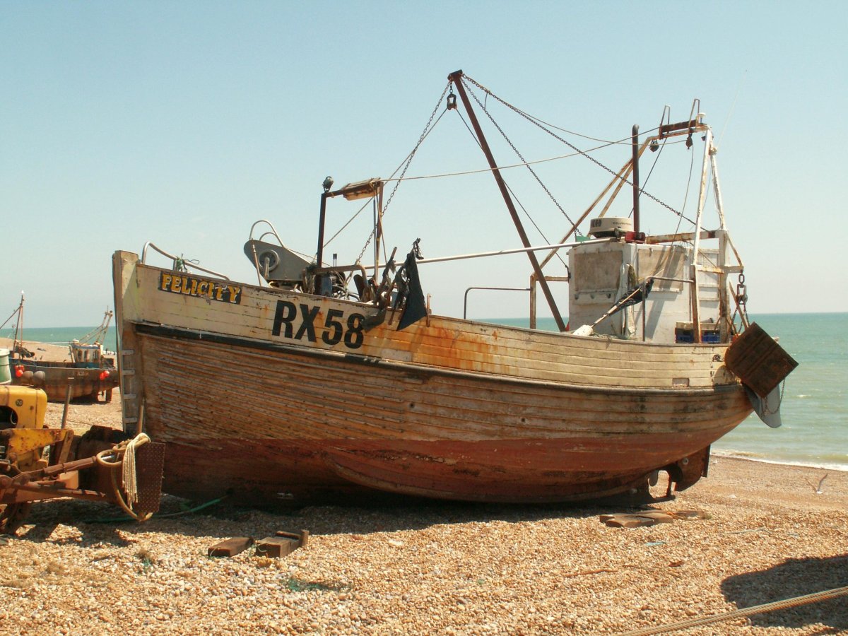 Судно Фелисити Эйс Википедия