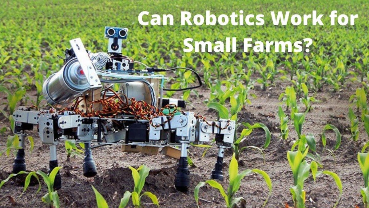 Роботы в СХ