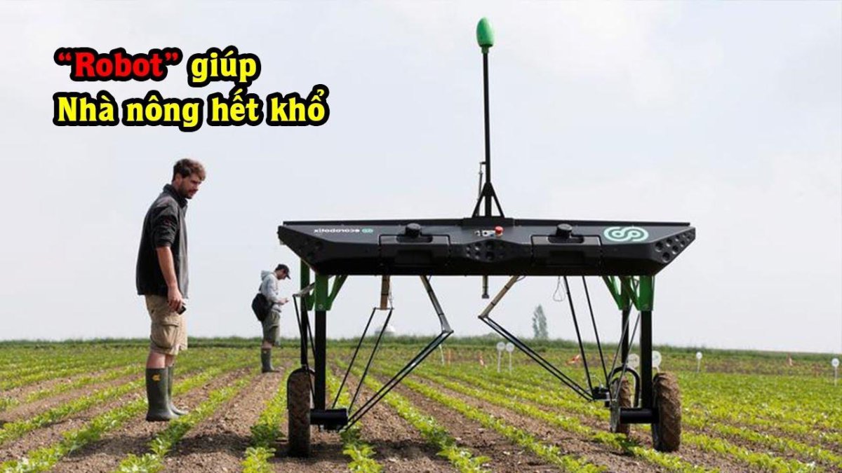 Робот-пропольщик ECOROBOTIX