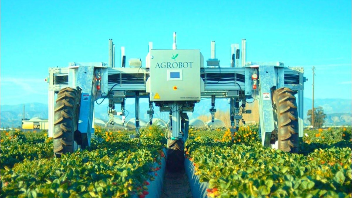 Сельскохозяйственные роботы