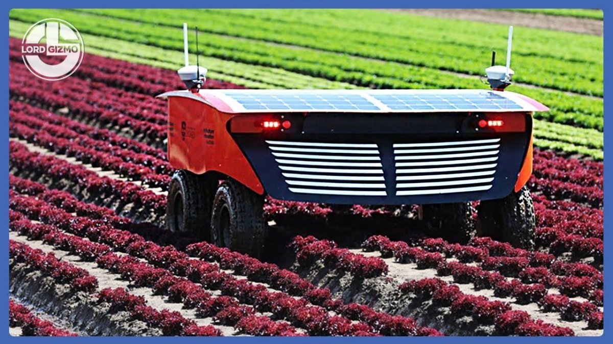 Технологии в сельском хозяйстве