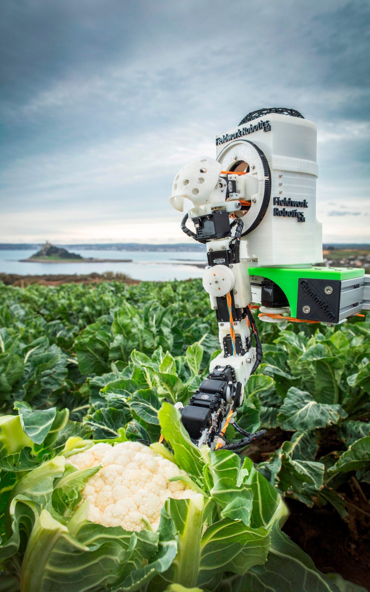 Робот для сбора урожая
