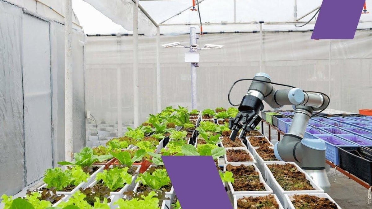 Робот для тепличных предприятий