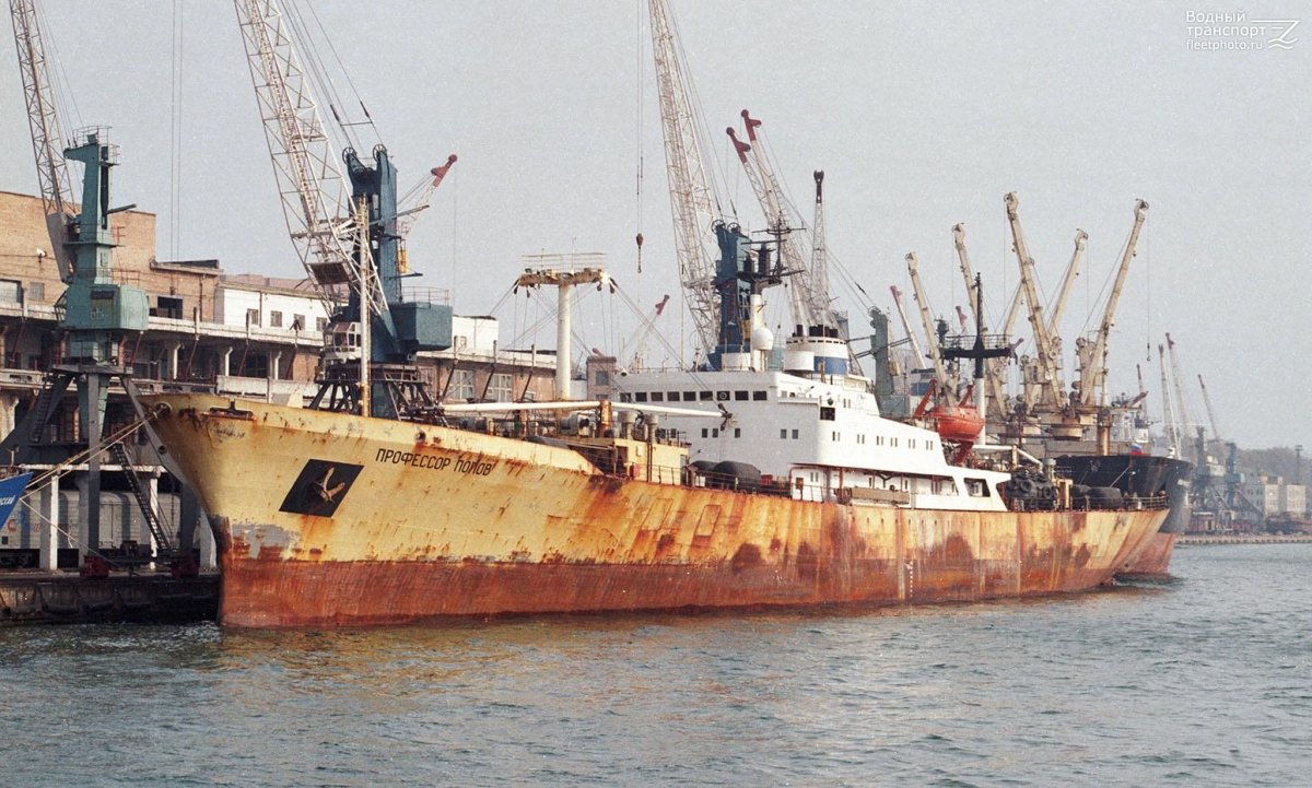 Профессор Рыбалтовский корабль