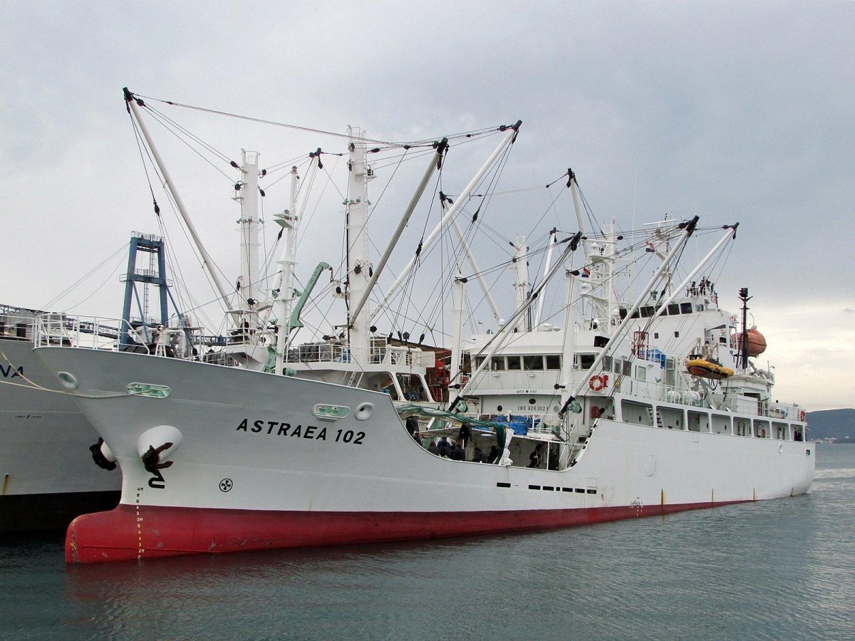 Рефрижераторные суда (Reefer Vessels)