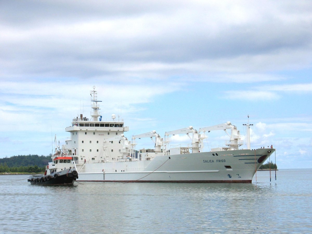 Salica Frigo судно