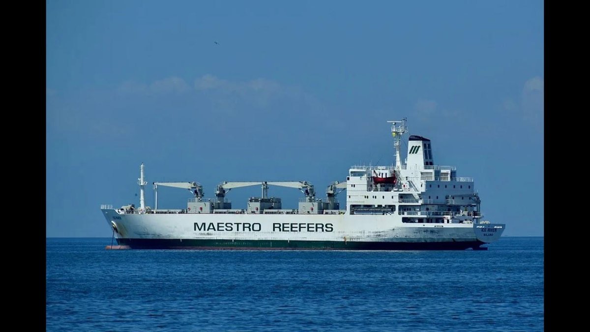 Reefer Vessel судно