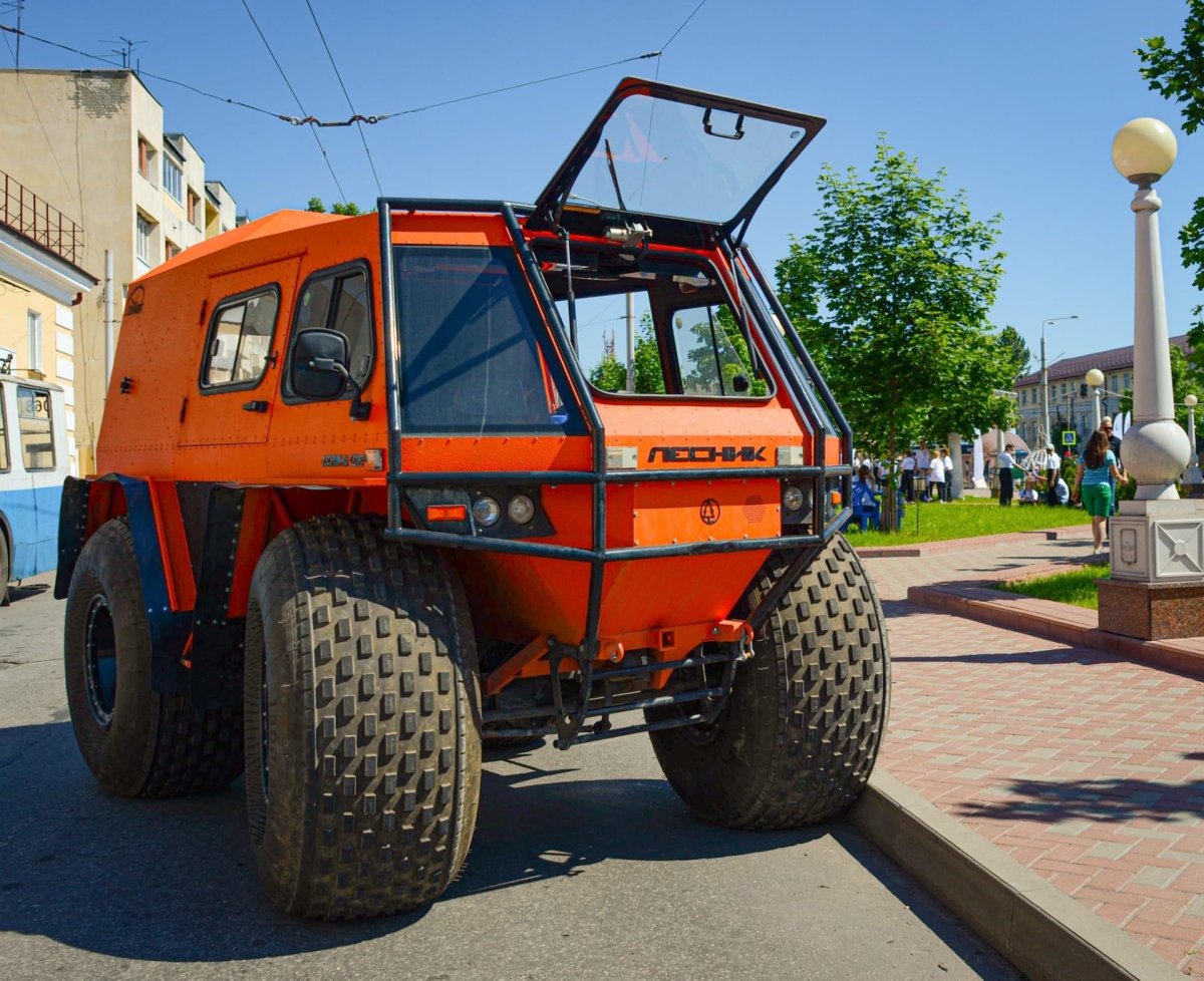 Лиза Алерт болотоход