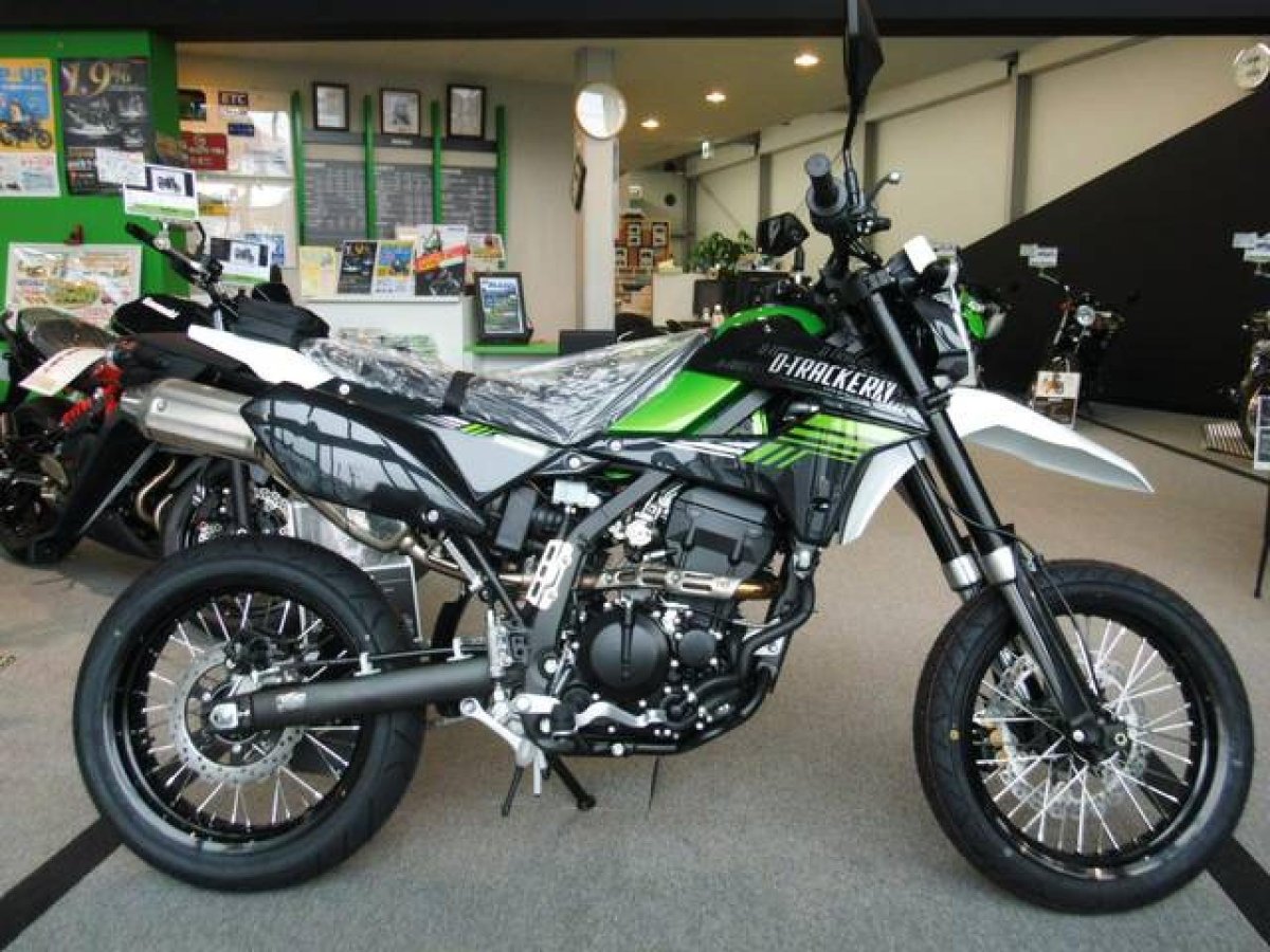 Kawasaki KLX 250/ D-Tracker