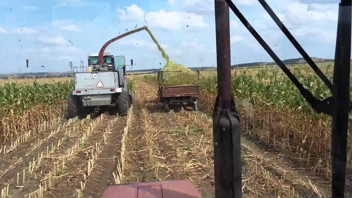 Ростсельмаш Дон 680