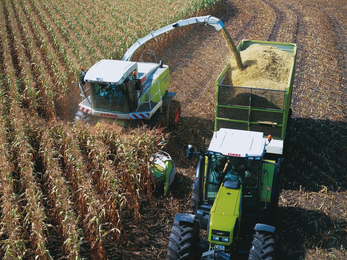 Комбайн для уборки кукурузы на силос