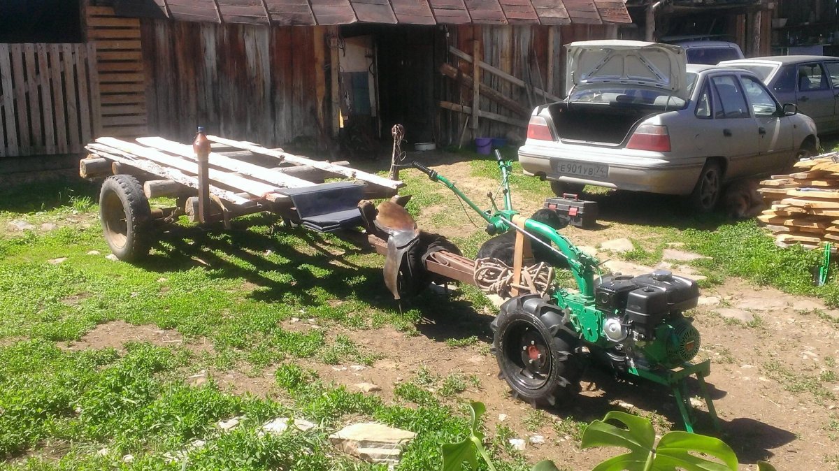 Самоделкин Кулибин