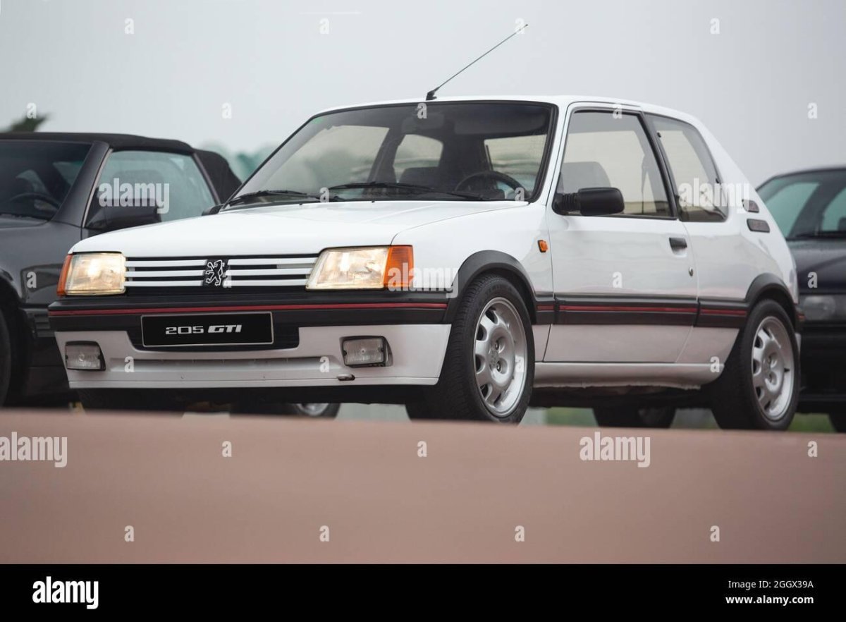 Peugeot 205 GTI White