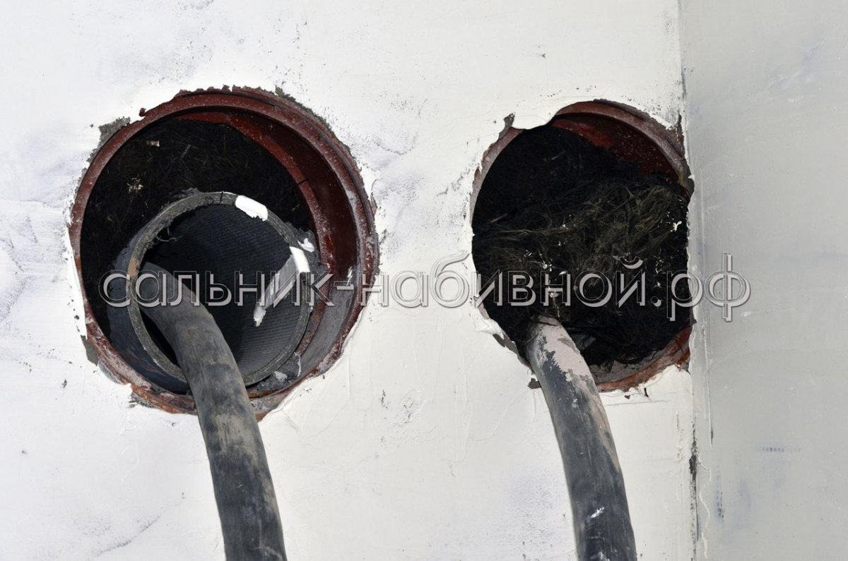 Сальник набивной 5.900-2