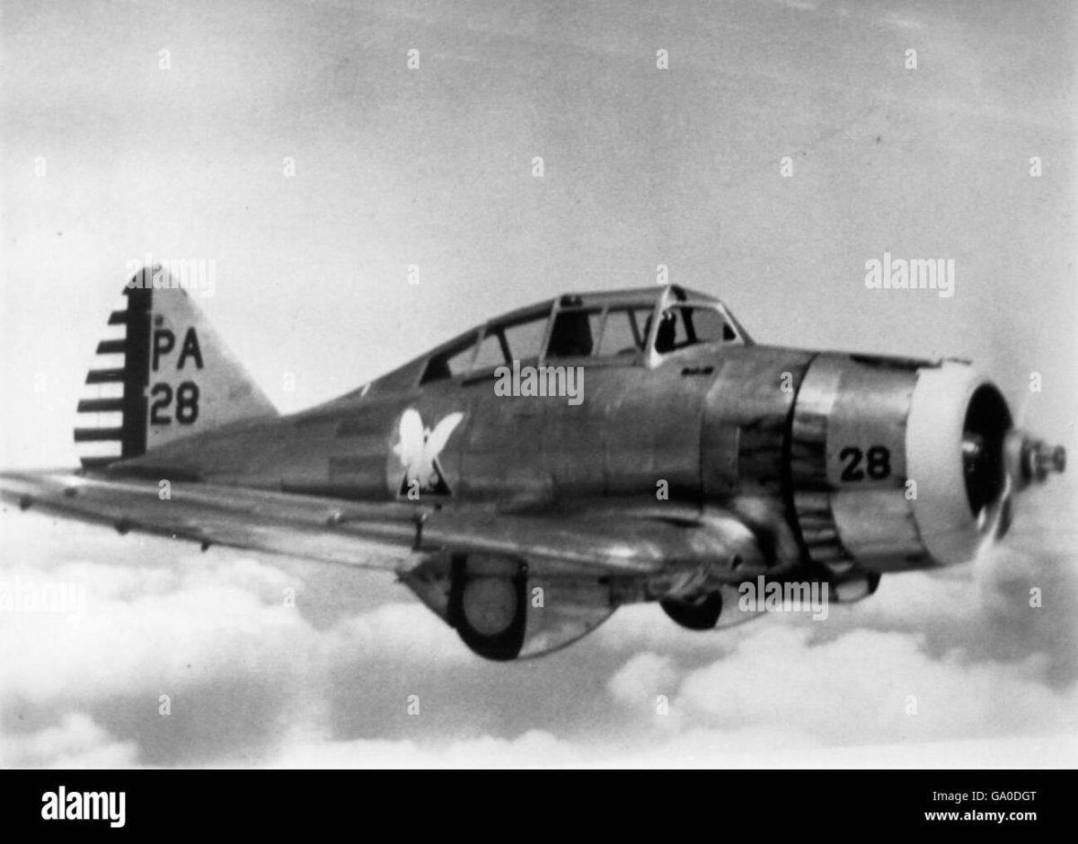 Зиг-1 ПС-89 самолет