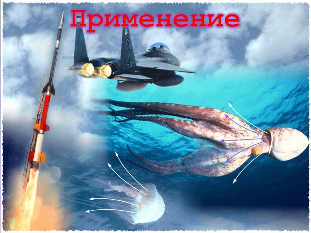 Реактивное движение в природе и технике