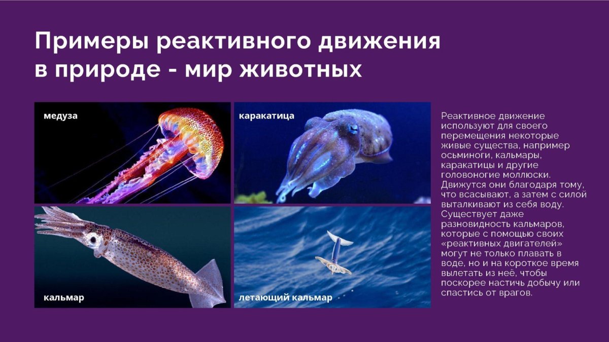 Реактивное движение