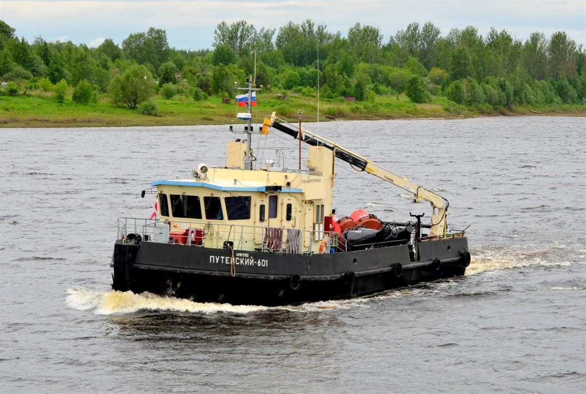 Путейский 601