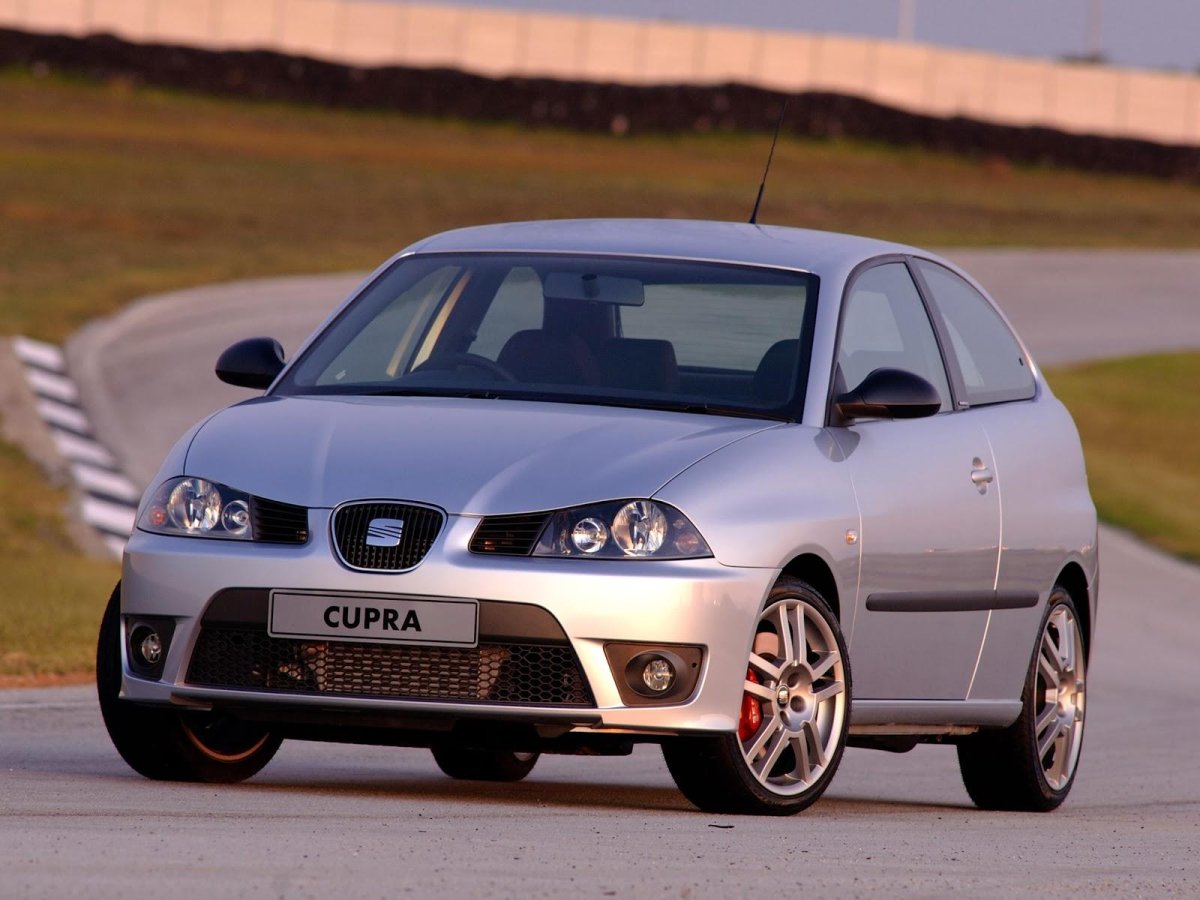 Seat Ibiza 6l