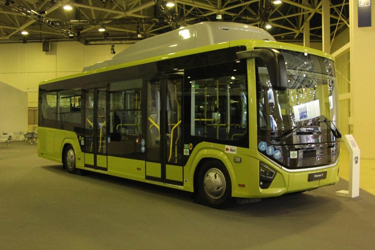 Автобус Вега