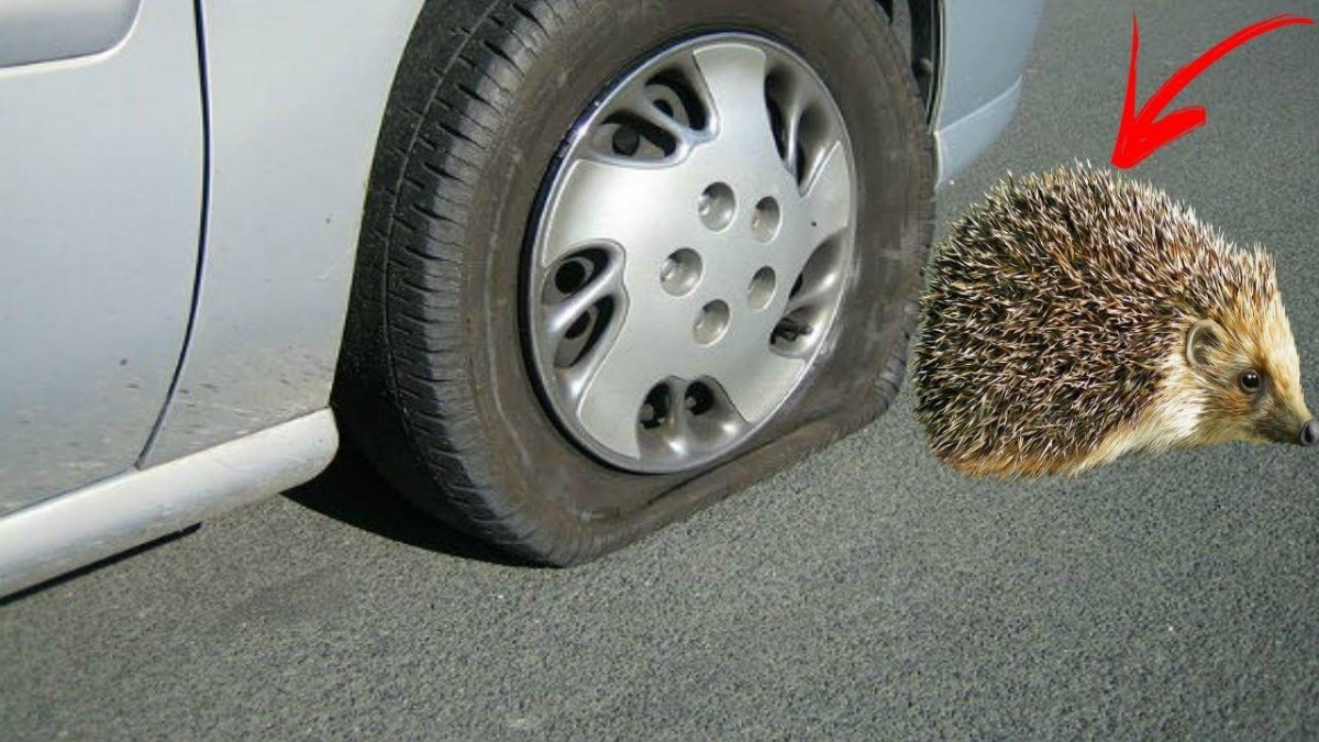 Проколотая шина