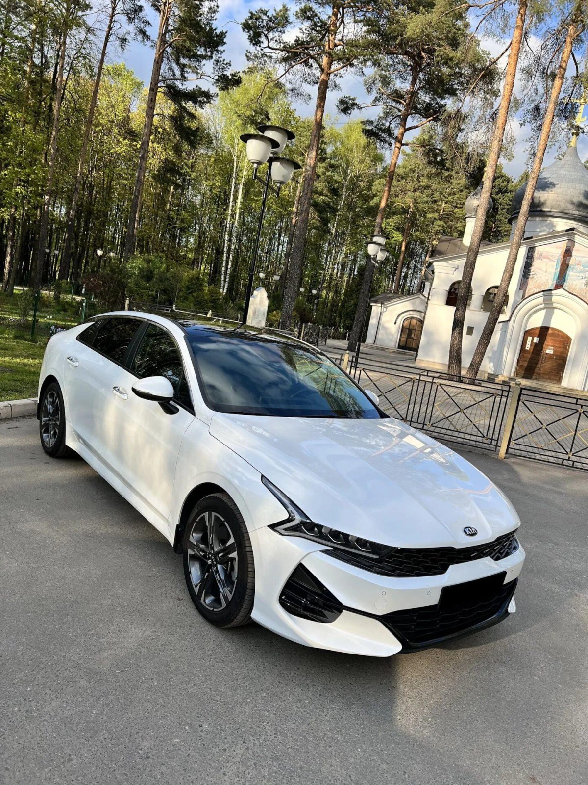 Гибрид черный глянец