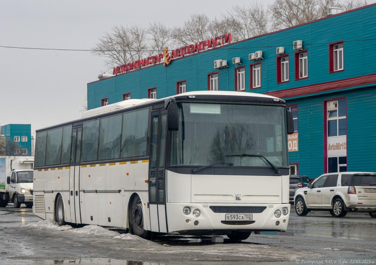 Автобус фото