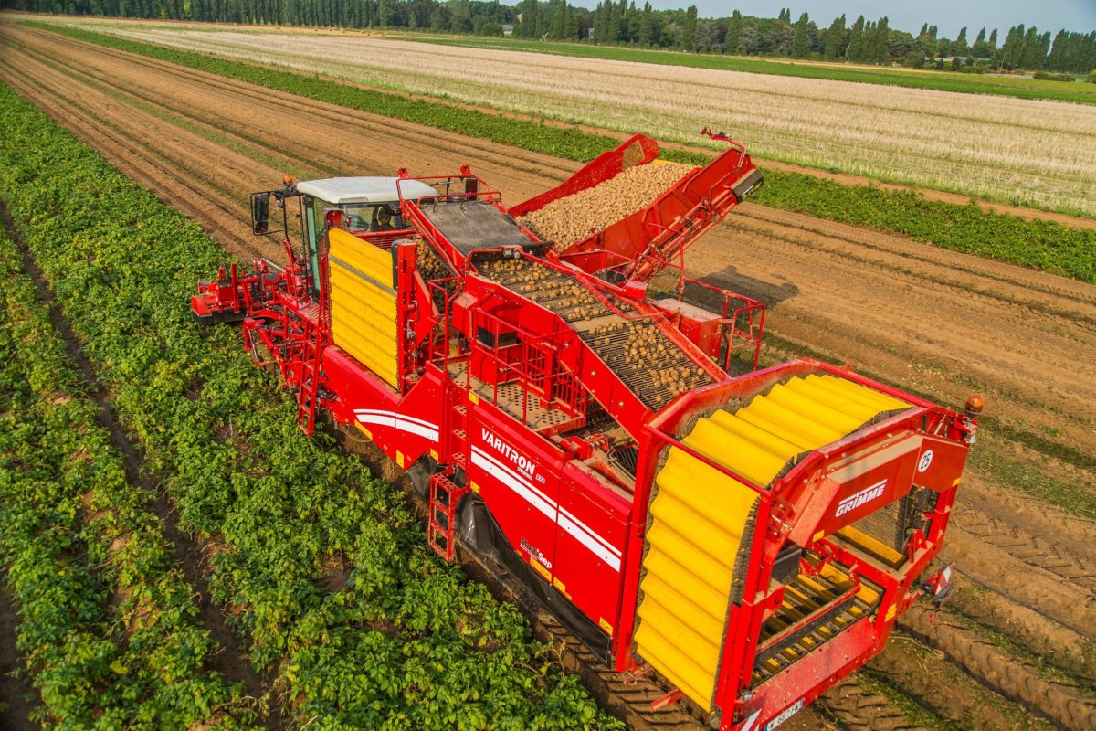 Картофелеуборочный комбайн Grimme