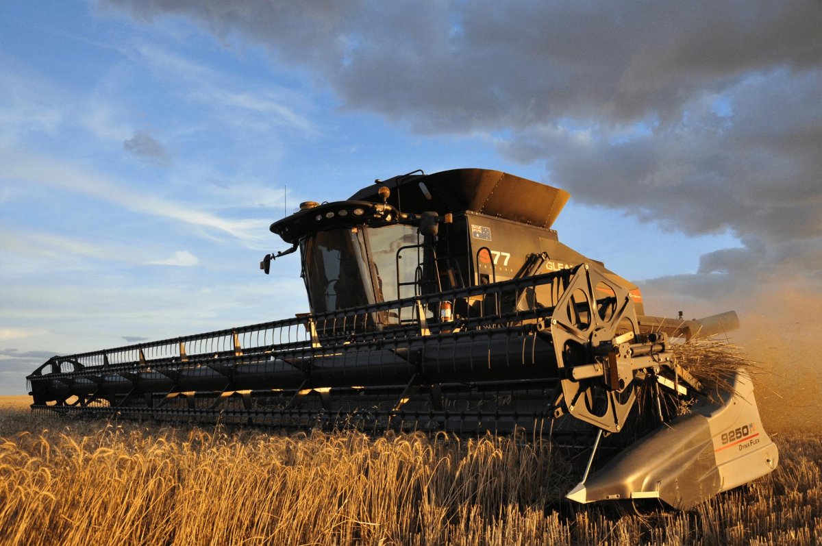 Комбайн Нива в поле