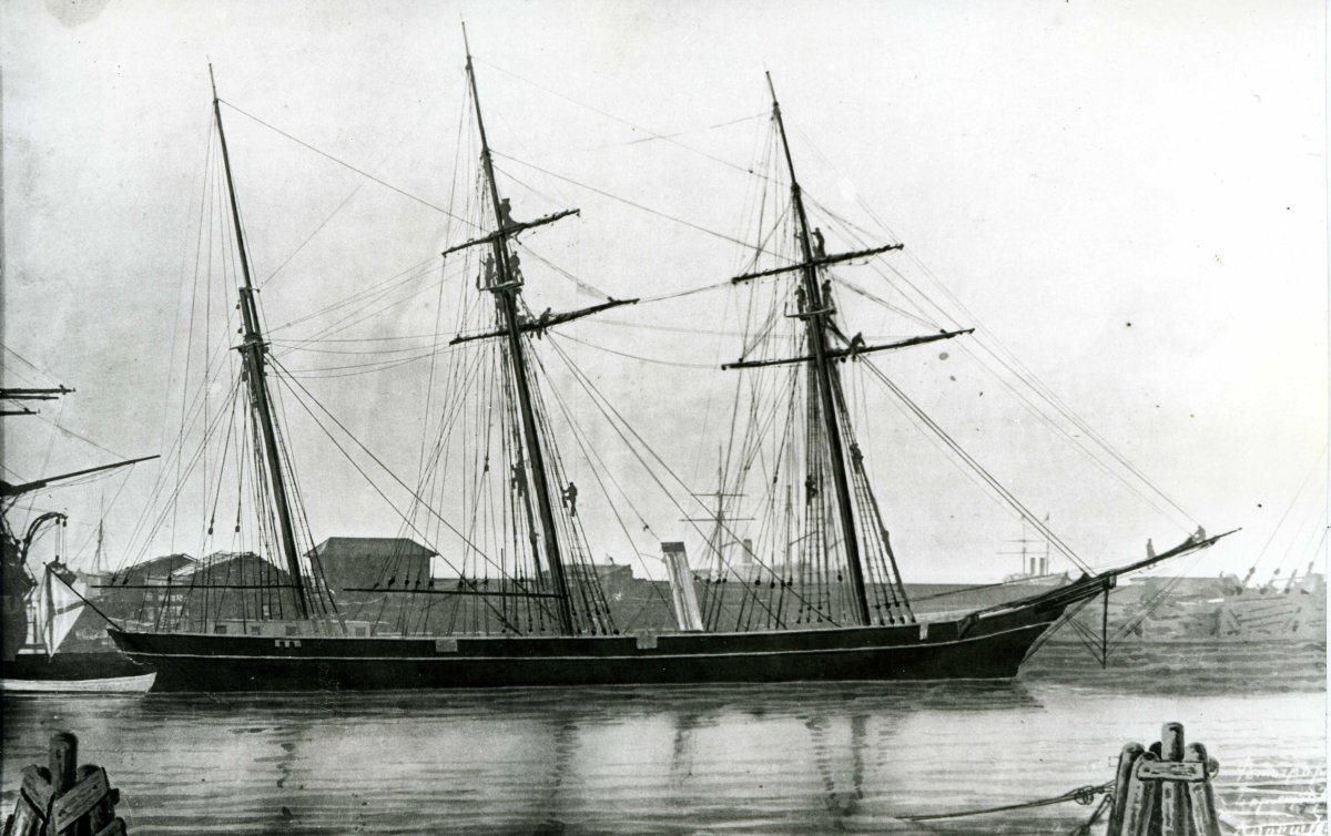 Пластун клипер 1856