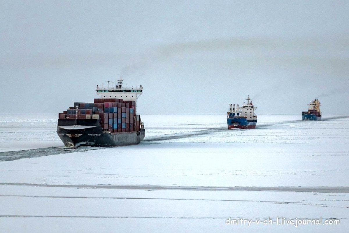 Северный морской путь Караван судов