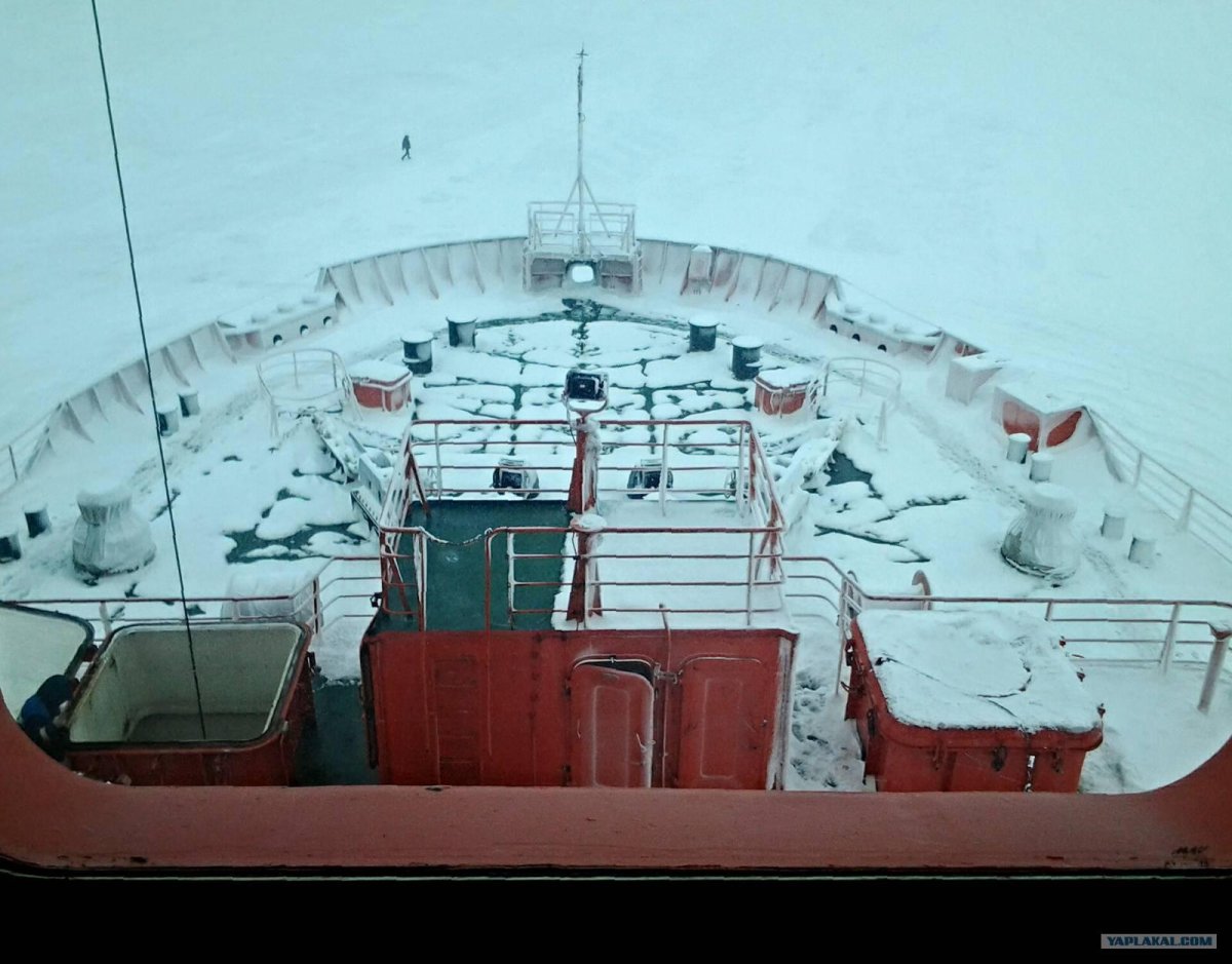 Атомный ледокол Таймыр