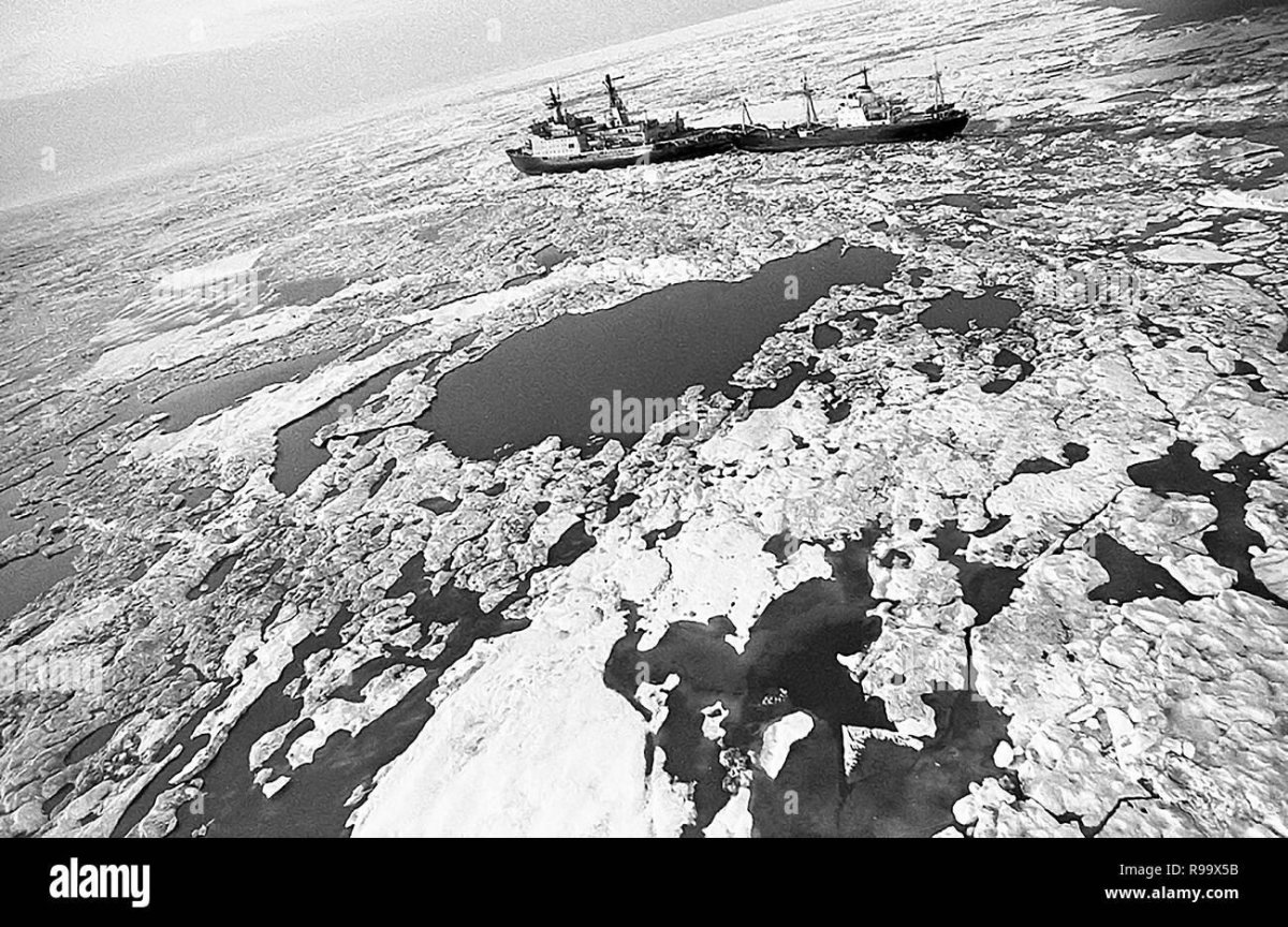 Остров Вилькицкого