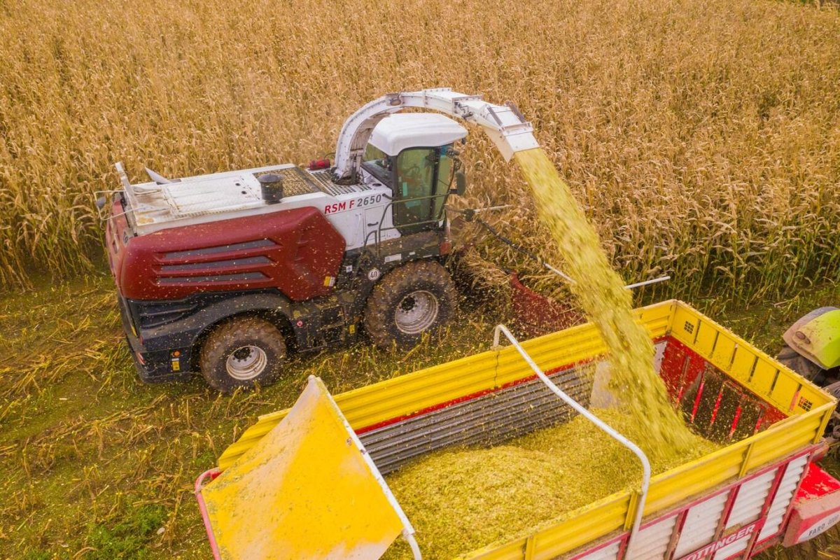 РСМ 2650 кормоуборочный комбайн