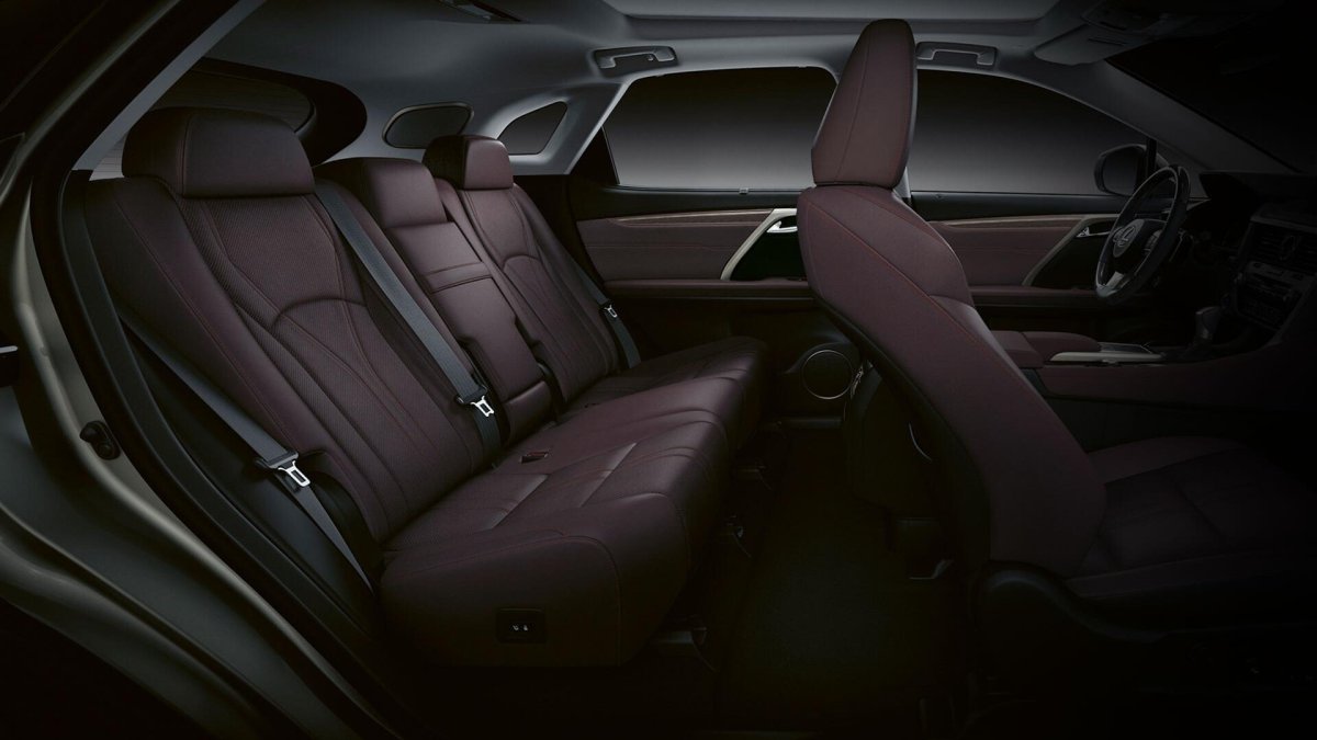 Коричневый салон Лексус rx300