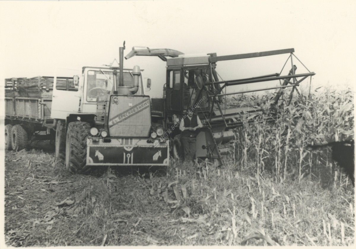 ГАЗ 53 на заготовке силоса